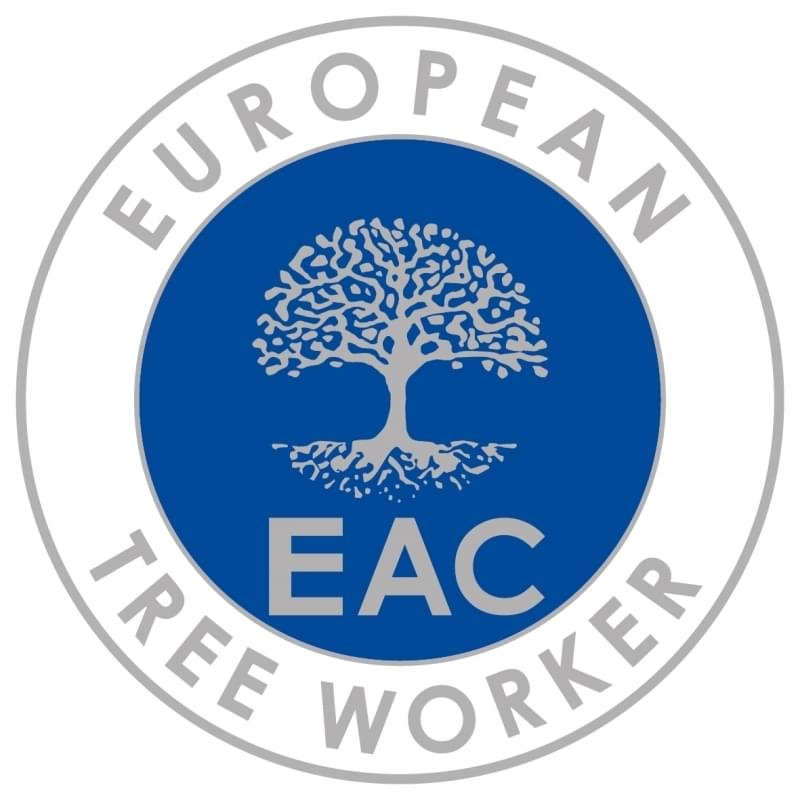 European tree worker in Castrop Rauxel